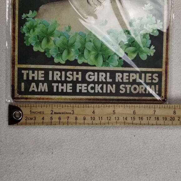 Aluminum Tin Sign I Am The Storm Retro Vintage Sign Home Wall Decor 8"x 12" In - Picture 3 of 3